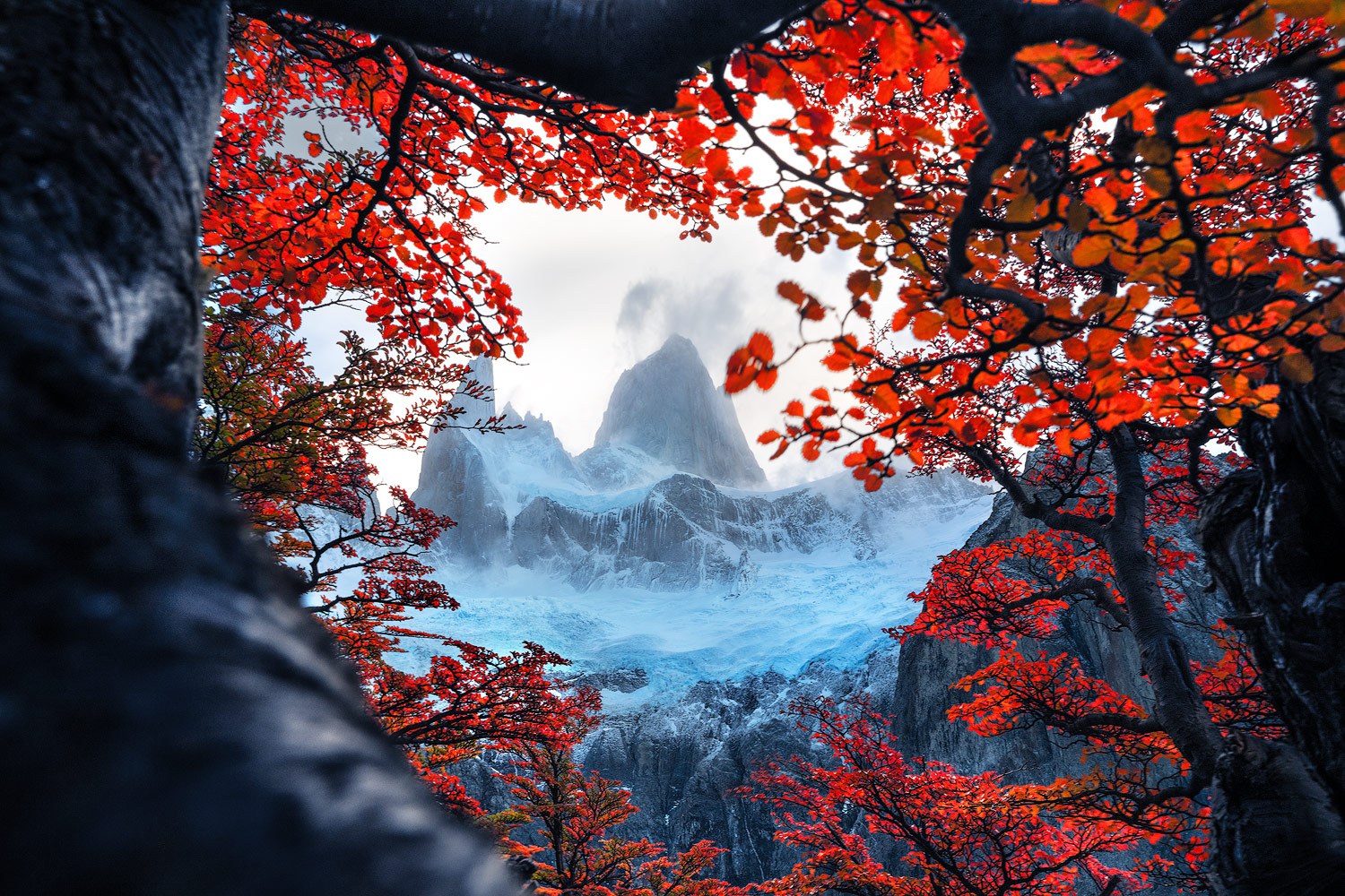 Patagonian Dream